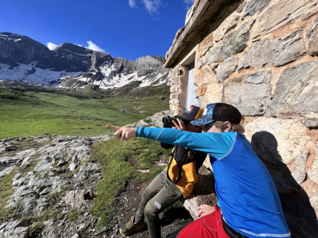 enfant animaux montagne