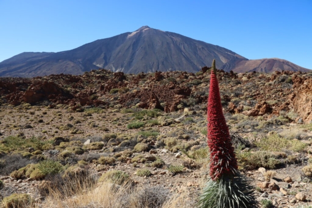 Teide